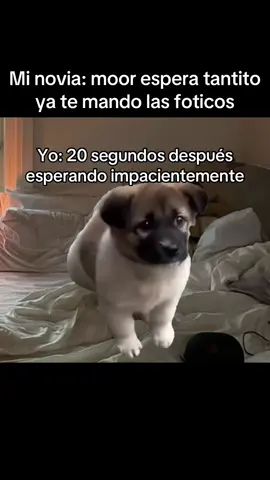 Relacionable?😂#novios #novias #pareja #relaciones #relatable 