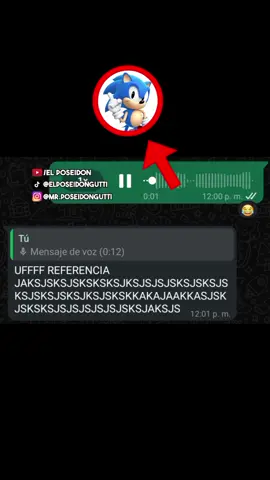 UFF REFERENCIA 🔥 #sonic #sonicthehedgehog #meme #humor #audios 