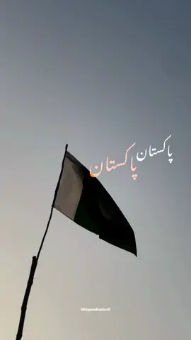 Pakistan Pakistan Dil Dil Se Bole Naam – Nauman Majeed #CapCut #14august #pakistansong🇵🇰 #pakistanzindabad #glimpseofnature9 