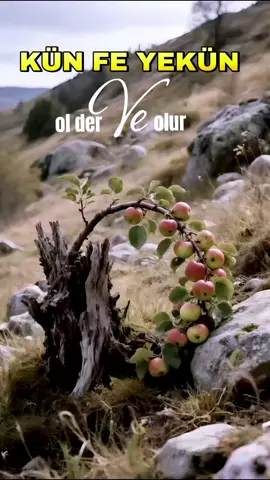 ##DUA #allaha sığınanlar  asla yarı  yolda #kalmaz #keşfetteeyizz #keşfetteeyizz 