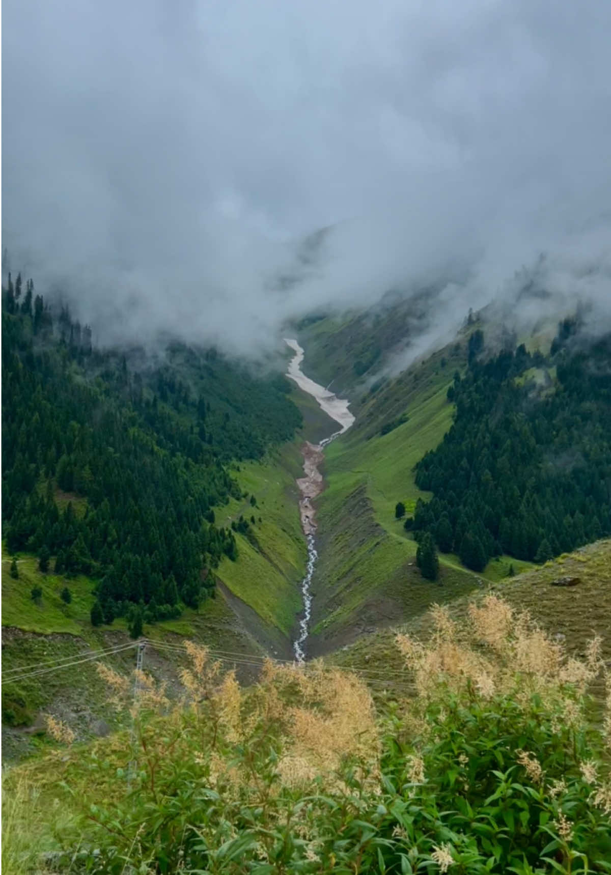 The beautiful Minimerg valley astore 🏔️❤️😍 𝐏𝐥𝐚𝐧 𝐲𝐨𝐮𝐫 𝐩𝐞𝐫𝐟𝐞𝐜𝐭 𝐜𝐮𝐬𝐭𝐨𝐦𝐢𝐳𝐞𝐝 𝐁𝐲 𝐚𝐢𝐫 𝐭𝐫𝐢𝐩 & 𝐛𝐲 𝐫𝐨𝐚𝐝 𝐭𝐫𝐢𝐩𝐬 𝐭𝐨 𝐝𝐢𝐟𝐟𝐞𝐫𝐞𝐧𝐭 𝐝𝐞𝐬𝐭𝐢𝐧𝐚𝐭𝐢𝐨𝐧𝐬 𝐢𝐧 𝐩𝐚𝐤𝐢𝐬𝐭𝐚𝐧 𝐰𝐢𝐭𝐡 𝐒𝐤𝐚𝐫𝐝𝐮 𝐓𝐨𝐮𝐫𝐢𝐬𝐦 𝐂𝐥𝐮𝐛 Skardu | Hunza | Fairy meadows | Astore minimerg | Naran kaghan     Direct flights available from Karachi - Lahore - Islamabad  & Dubai  1: Family Tours  2: Honeymoon Tours  3: Corporate Tours  4: Group Tours 5: College / university tours  Make memories with your loved ones We are offering affordable packages. Get your quote today.  ⁨WhatsApp us number mentioned in profile  #foryou #foryoupage #unfrezzmyaccount #skardutourismclub #k2adventureclub #goomopakistan 