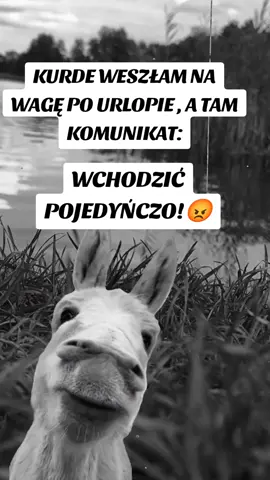 Jak tam po urlopie słodziaki?