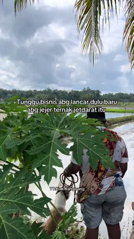 Akan kutaklukan bisnis Tiga negara itu🤪#fyp #porbi #porbi_sumbar #porbimarentensumbar #story 