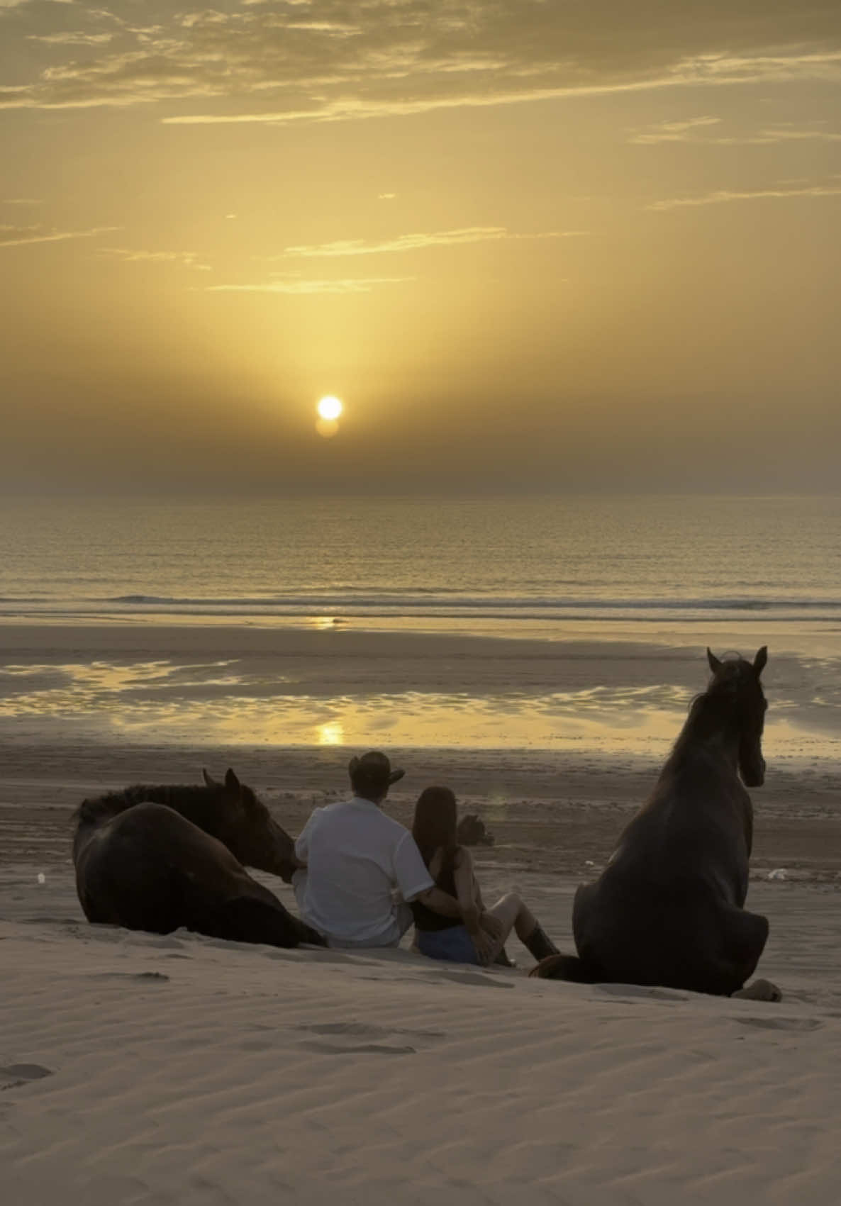Peaceful moments  #beach #foryoupage #horse #horse #explore #morocco🇲🇦 #essaouira #marrakech #casablanca #videoviral #fyp #sunset #morocco #traveltiktok #