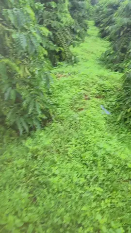 vậy thôi🤣