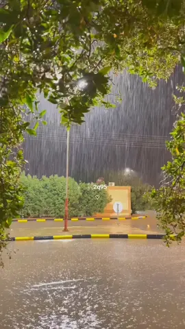 ماتجي الأمطار من دون الغيوم #سلطان_البريكي  #شيلات  #2q95 