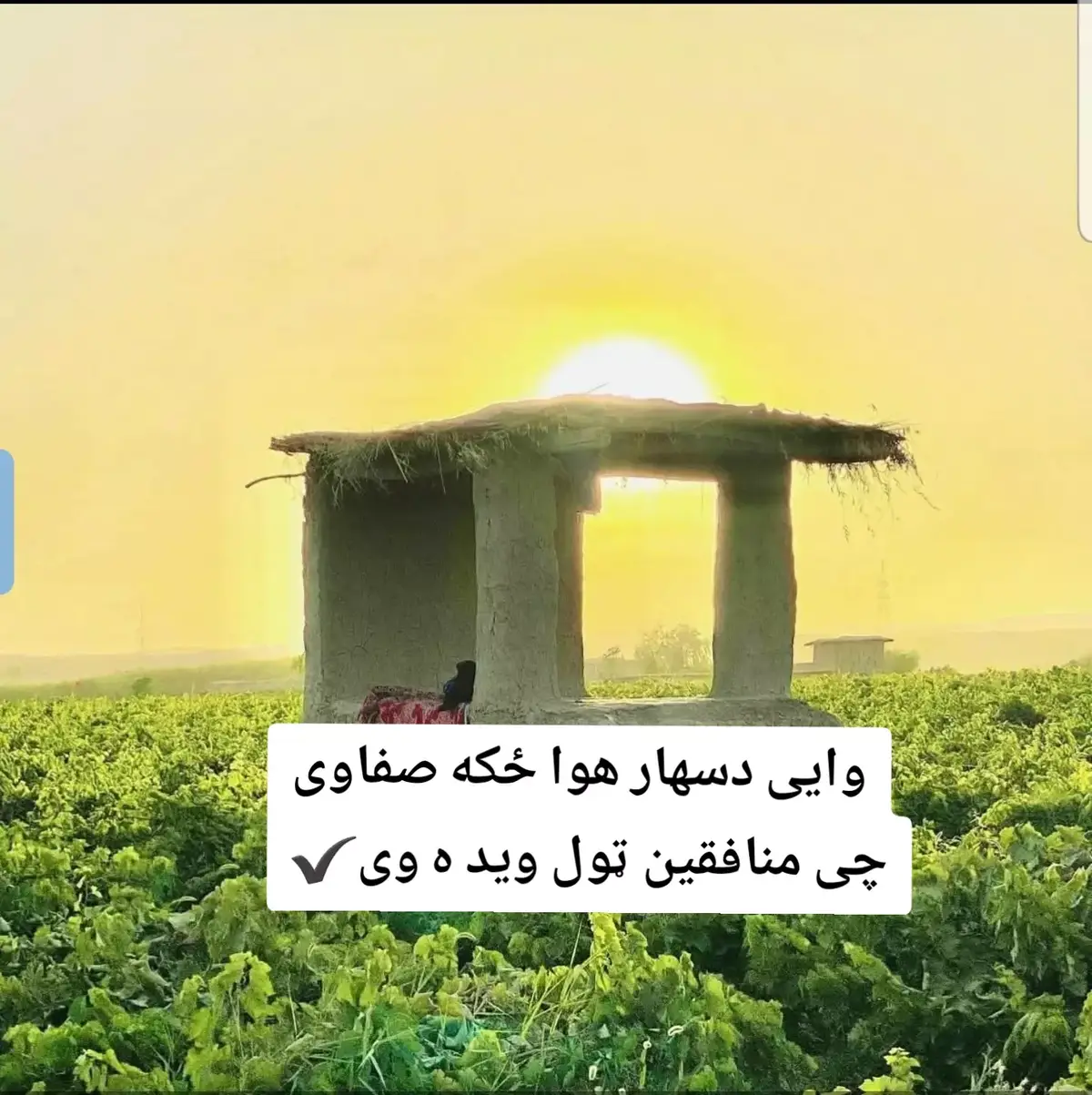 @🇷 🇦 🇼 🇦 🇳 🇮 