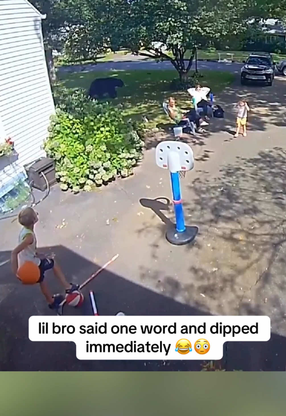 Bro said he did his job 😂🐻 (via viralhog/ig)  #funny #bear #viral 