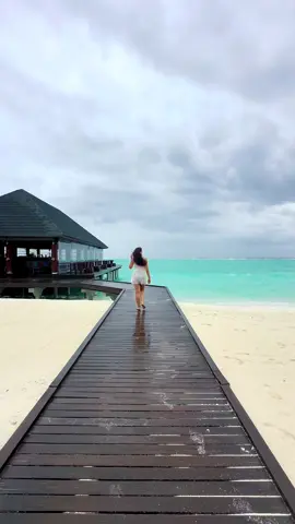 Maldive 🐟🐠🐡🦑🦐🐬🐙🪸🦀🐚
