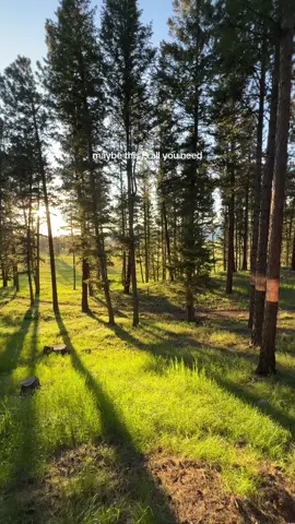 Maybe this is all you need…🫶 #getaway #montana #Summer #family #travel #adventure 