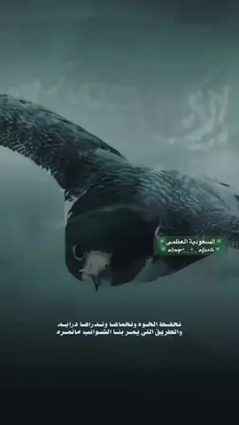 #اكسبلورexplore 