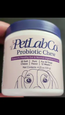 what dog owner doesn't want their dog to have a healthy gut and digestive track? why not help them with this by giving them a pork flavored soft chew probiotic by PetLabCo. Vet reviewed and high quality ingredients. My pups loved them so get your pups theirs today #AD #petlabco @PetLab Co. 