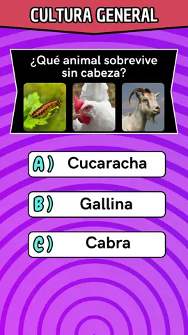 Test general knowledge! #quiz #trivia #preguntas #culturageneral #LearnOnTikTok 