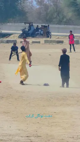 #viralvideo #cricket #cricketlover #dasht 