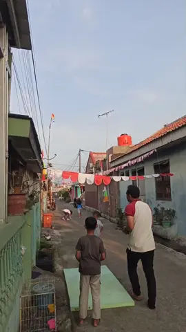 jarak 50 M perenggangan otot #cokermerpatibekasi #merpatihias #merpatihiasbekasi  #merpatikolong  #merpatikolongbebas  #merpatibekasitimur  #burungdarabekasi #burungdarabekasiasitimur #jualmerpati  #jualmerpatihias  #jualmerpatikolong  #jualmerpatikolobgbekasi #cokermerpatibekasi  #merpatitrah #jualmerpatikolongbekasitimur #jualmerpatijabotabek #jualburungdara #jualburungdarabekasitimur #jualmerpatihias #jualmerparikolongbekasitimur #jualmerpatijakarta #jualmerpatikolonganbekasi #jualburungdarajakarta #jualburungmerpatidepok #jualburungmerpaticikarang #jualburungmerpatikarawang #jualbutungmerpaticibitung #jualrumahtambunbekasi 