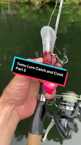 Eating the first fish I catch using a Weird Temu lure Part 2 #catchandcook #fishing #fishingchallenge #temufishing #CapCut  