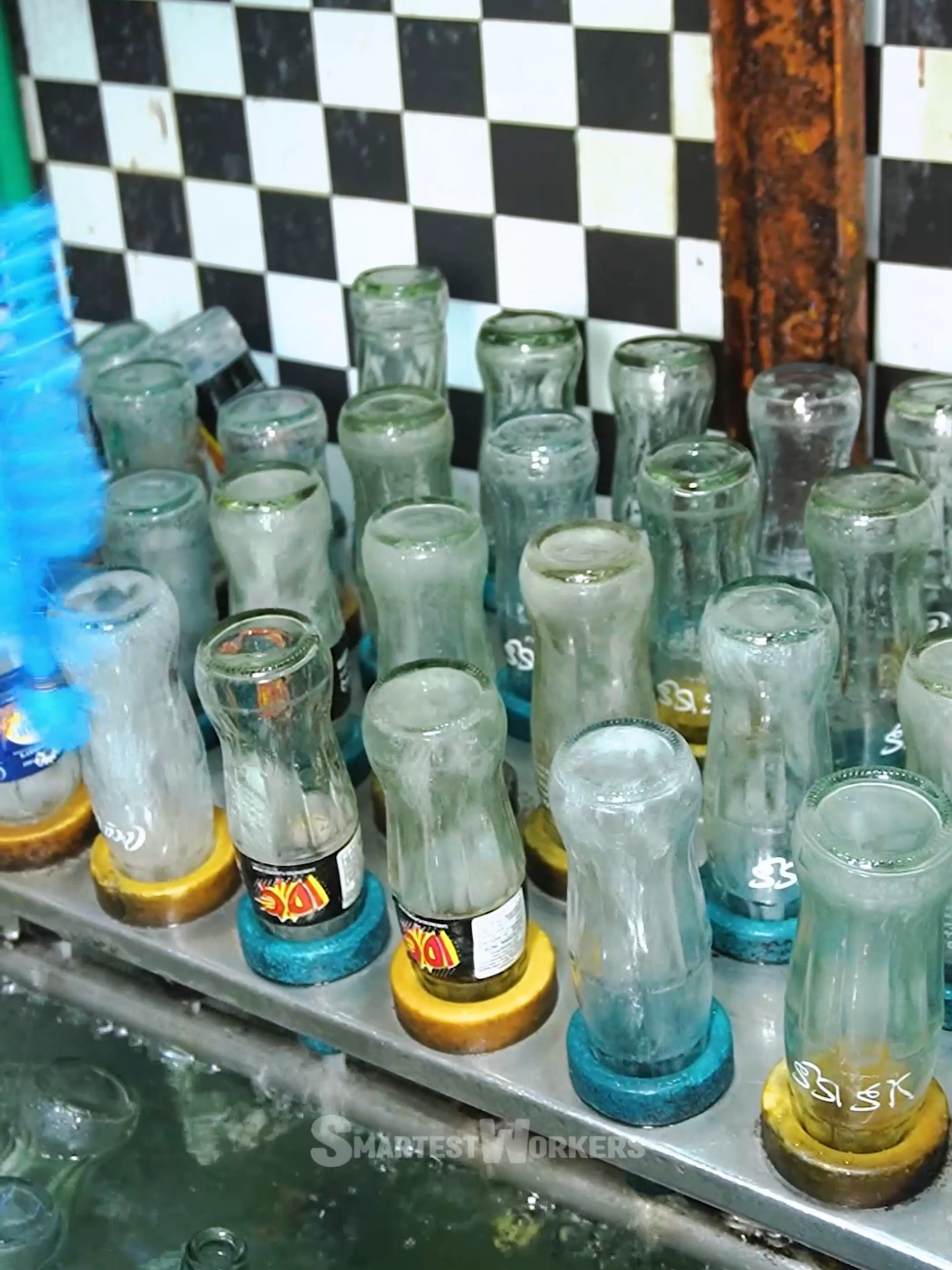 Lemon Soda Filled in Recycled Bottles 🍋🍾