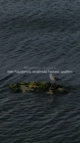 #keşfetteyizzz #kitapsözleri #edebiyat #keşfet #psikoloji 