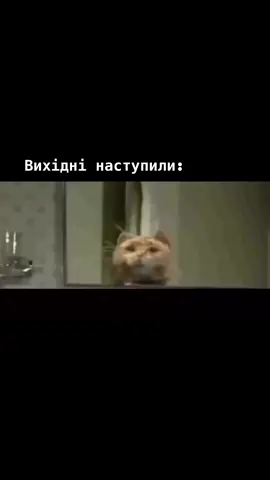 #fypシ゚ #пиво #beer #fyppppppppppppppppppppppp 