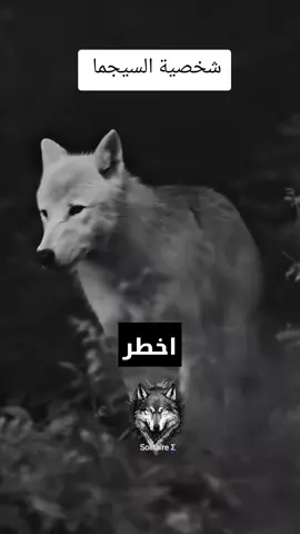 شخصية السيجما  #sigmamale #sigmafemale #السيجما #السيغما #الذئب_الوحيد 
