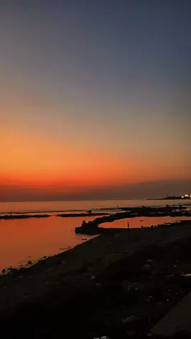 #وسوفيات  #ليه_تهربي #وسوفي #وسوفيات_ابو_وديع_سلطان_الطرب #WelcomeWassouf 