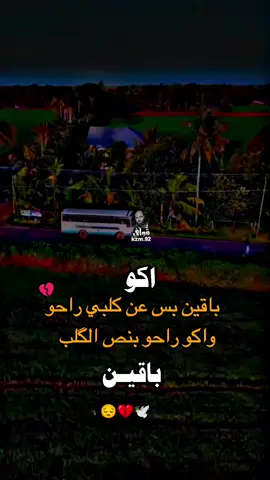 #شعراء_وذواقين_الشعر_الشعبي🎸 #شعر_شعبي_عراقي #عباراتكم_الفخمه📿📌 #مشاهير_تيك_توك_مشاهير_العرب 