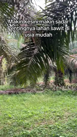 Bismillah nambah lahan #storysawit🌴🌴 #bossawit🌴 #fypシ゚viral #4upageシ #fyppppppppppppppppppppppp 