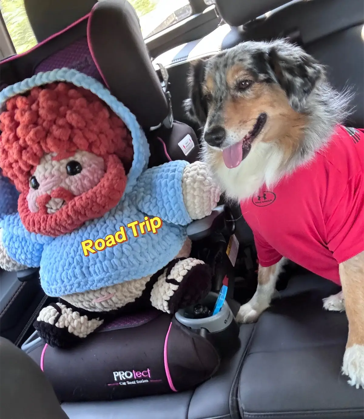 Where next @Case grandbaby plushie @thecrochetginger 
