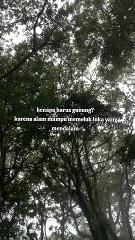 #foryou #fypppppppppppppp #pendakigunungindonesia #pendakisantuy #pendakifomo 