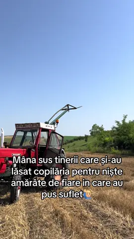 #fyp #meseriasiidepetiktok #copilarie #romania #suflet 