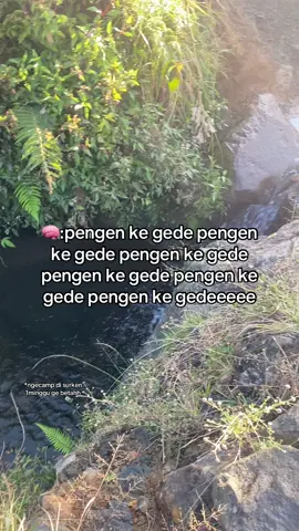 Absen yg belum ke gn.Gede☝🏻 #gedepangrango2958mdpl #gede2958mdpl #gedepangrango #suryakencana #fyppppppppppppppppppppppp 