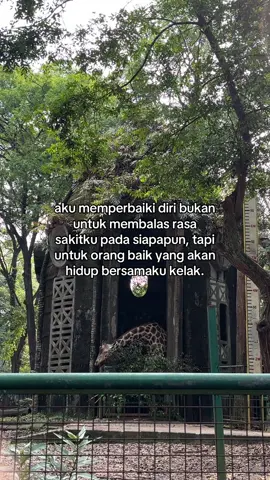 #fypシ #story 