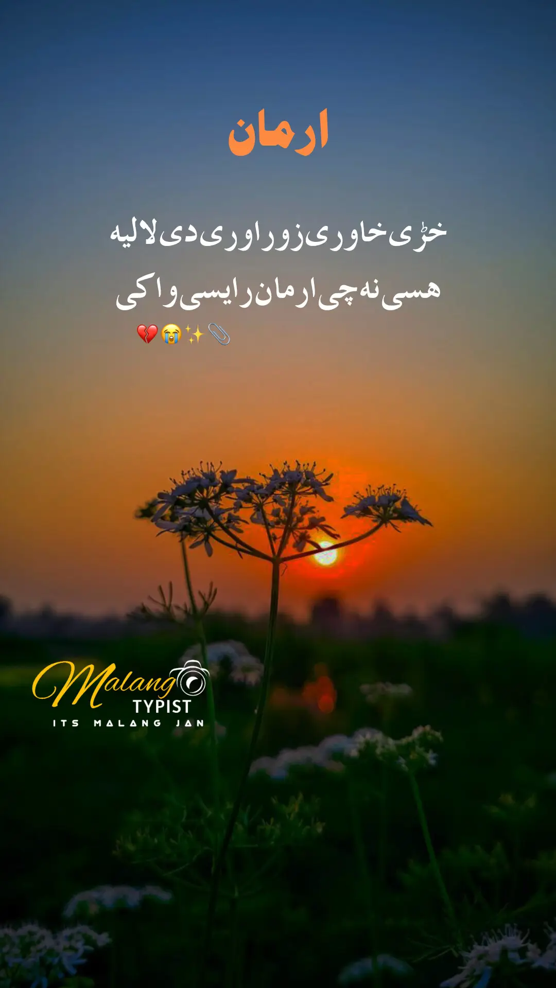 #fypシ゚ #foryou #♥️♥️♥️ #pashtopoetry #pashtolines 