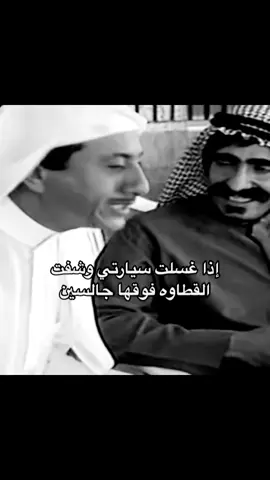 #تيم_ريتش 