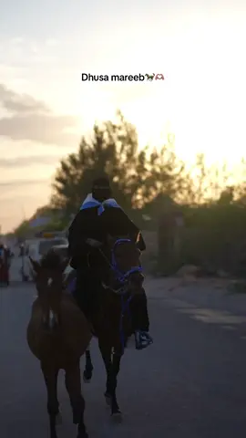Xafadan an marayo magaceda soshega re dusa mareb hada tahy🫶🏽#shugriyaarts🐎🐎🐎 #shugriya @Galmudug Boy🥷💙🤍💚🦅 @Muna Mahad 