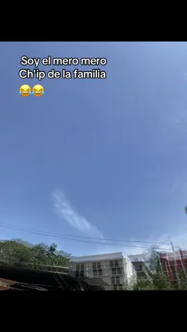 Humor #hashtag #fpyシ #familia #paratii #viraltiktok 