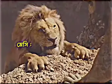 মেসি😢😢😢@☠️SILENT KILLAR🤌 @❤️‍🩹নাইম❤️‍🩹 @“S͜͡𝐡𝐚𝐡𝐫𝐢𝐚𝐫✿🇮🇹 @🤗🫠FAHIM💝👿 @🎀🌛𝓜𝓸𝓸𝓷🌜🎀