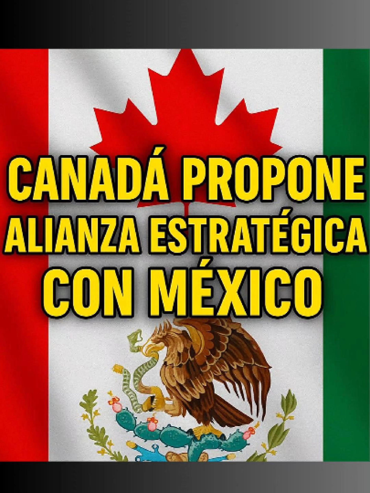 Canadá propone a México alianza para proteger recursos naturales compartidos #mexico #mexico🇲🇽 #ejercitomexicano #donaldtrump #mexicocheck #claudiasheimbaum #noticias #mexicotiktok #vladimirputin🇷🇺 #china