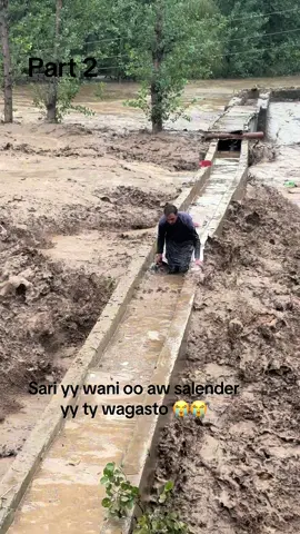 Sari yy wani oo aw salinder yy ty wagasto 😭😭😭😭