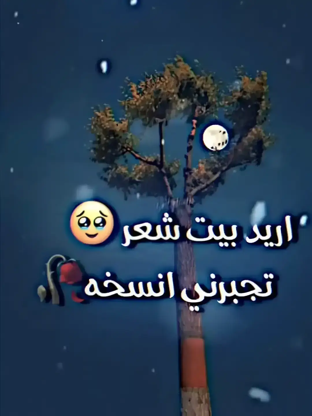 #شعر #fypp 🥺💖 #مالي_خلق_احط_هاشتاقات 