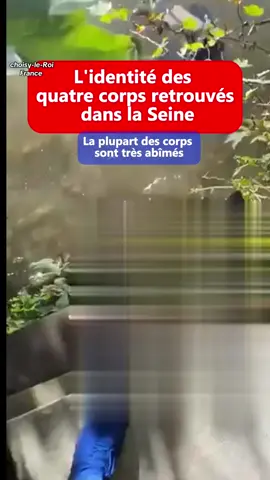 😱😱 #seine #paris #corps #pourtoii #fyp 