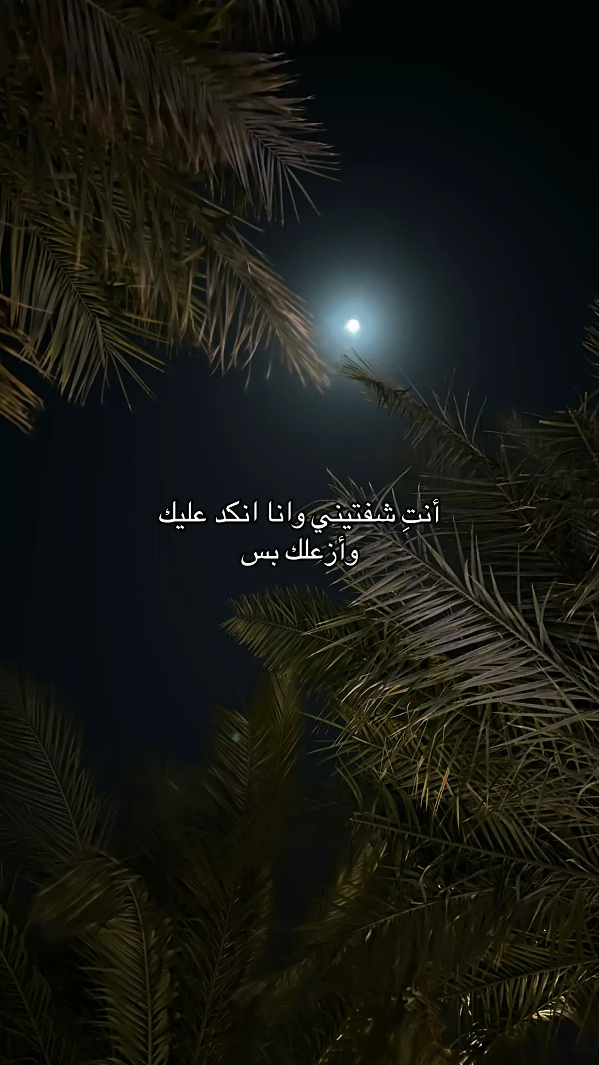 #G #محبوبتي #❣️ #fyppppppppppppppppppppppp #مالي_خلق_احط_هاشتاقات 