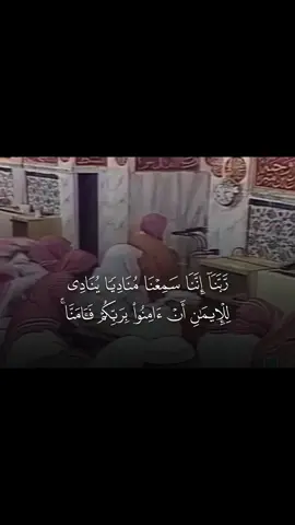 #محمد_أيوب #سورة_آل_عمران #quran_alkarim #القران_كريم 