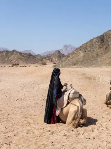 #اكسبلورexplore 