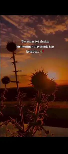 #🌅🌅🌅arapcamuzukguzelsozler #arapca #arapçaanlamlısözlerar #arapcaguzlesozlerdertli 