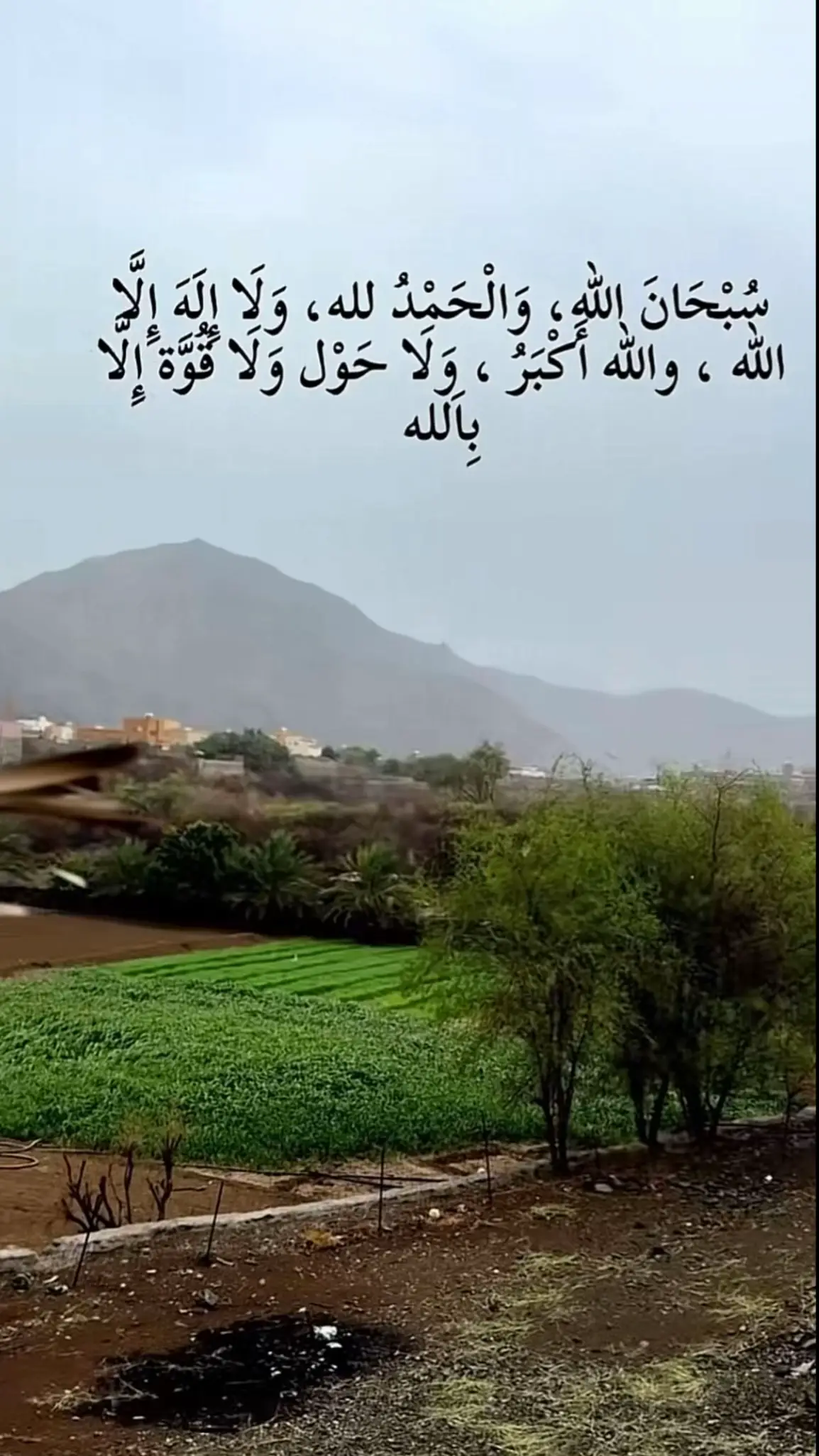 #foryoupage #أكتب_شيء_تؤجر_عليه🌿🕊️ #ذكر_الله #fypage #creatorsearchinsights                ‎‏   ‎  