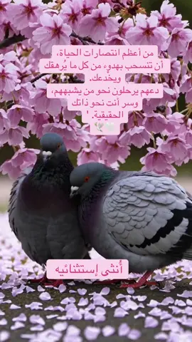 #اكسبلوررررر_لايك_متابعه_كومنت_فولو_عمان😔 #انثى_إيستثنائيه🤨 #اكسبلوررررر_لايك_متابعه_كومنت_فولو🕊🤍💜🙂❤ #اكسبلوررررر_لايك_متابعه_كومنت_فولو_عمان 