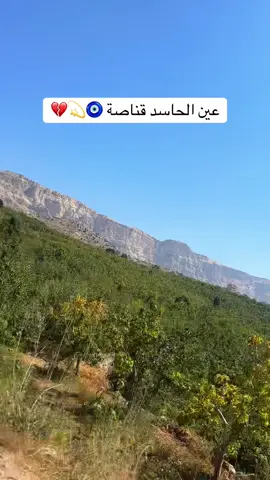#ربيع_الاسمر❤️  #دير_بالك_من_صيبة_عين🧿🧿  #fypシ #nature_green 🌿🍃