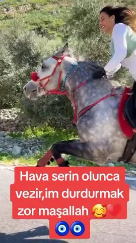 biraz kilo almıştım 2 sene once🙈🙈🙈 Yörük candır 🧿🧿🧿