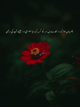 میرے پیارے اللہ  آپ کیسے ہیں۔؟ اللہ جی آپ جانتے ہیں. آج میرا دن کیسا گزرا آج میں نے کیا کیا محسوس کیا میں بھی پاگلوں جیسی بات کر رہا ہو ! آپ تو دلوں کے حال تک واقف ہے ۔ . اللہ جی آپ جانتے ہوۓ بھی تھوڑی دیر کے لیے انجان بن جائے پلیز اللہ  ! پتا ہے اللہ جی آج میں نے خود کو دیکھا ہاں بلکل اللہ جی آج میں نے خود کو دیکھا خود کو دیکھا اور خوب رویا اللہ جی پلیز آپ تھوڑی دیر کے لیے انجان بن جائے آپ میرے اٹھتے ہوئے ہاتھوں کو دیکھیں ، اللہ جی مجھے اپنے ہونے کی اپنے جینے کی کوئی وجہ نظر نہیں آتی۔ اللہ جی مجھے سکون کیوں نہیں ملتا ؟ میں شیطان نہیں جو تیری بارگاہ سے راندہ درگاہ ہوا میں تو دن میں کتنی بار آتا رہتا ہو بس تیری بارگاہ میں میری نمازیں بیشک ٹوٹی پھوٹی صحیح لیکن میں نافرمان نہیں میں حاضر ہوں اللہ جی مگر اللہ جی مجھے لگتا آپ کو میں اچھا نہیں لگتا۔۔۔ مجھے لگتا جیسے آپ کو مجھ سے محبت نہیں میں جانتا ہوں ایسا ہر گز نہیں ، آپ کے علاوہ کوئی اور نہیں جس نے ابھی تک مجھے سنبھالے رکھا مجھے اس دنیا کے تھپیڑوں سے بچا کے رکھا مگر اللہ جی دل کا بوجھ ہلکا کر رہا بس۔۔۔ اللہ جی آپ جانتے ہیں مجھے خوشی راس نہیں آتی۔ میں جب جب جس جس دن ہنستا ہوں نا مجھے اس سے زیادہ رونا پڑتا ہے آخر کیوں اللہ جی کیوں؟ یہ بے سکونت ، یہ بے چینی ، یہ زندگی سے نفرت ، یہ اذیت ، موت کی خواہش یہ سب کیوں اللہ جی آخر میرے ساتھ کیوں ؟ میں تو تجھ سے مانگتا بھی اپنی محبت ہوں ۔ لیکن تو مجھ سے لگتا ہے منہ موڑے بیٹھا ہے۔۔۔ اپنے سوالوں کے جواب کے لیے تیری کتاب کھولتا ہوں تو لگتا ہے جگہ جگہ مجھی سے مخاطب ہے ۔ کبھی صبر کی آیت میں تو کبھی تلاشنے میں کبھی جہنم کے خوف سے تو کبھی جنت کی آرزو میں اللہ سوہنے جی مجھے پھر بھی لگتا کہ مجھے بنا کہ جیسے آپ نے مجھے میرے حال پہ چھوڑ دیا ہے۔۔۔ ایسا مت کرئے اللہ جی میں کدھر جاونگا۔۔۔۔ اچھا ایک بات اللہ جی آجکل مجھے مرنے کے خیال تنگ کر رہے ۔ کیا کروں میں ؟ مجھے لگتا میری زندگی بس اتنی ہی تھی ، اتنا جی لیا کافی ہے مگر مجھے ڈر لگتا ہے آپ سے آپ مجھ سے اور ناراض ہو جاو گے ۔۔ میں بھی کیا آپ کو بتا رہا، آپ تو سب جانتے تو جب جانتے ہیں تو مزید سکت نہیں میرے میں یہ بھی تو سمجھے نا۔۔۔ میں تھک گیا ہوں ، میرے کندھے اان فرشتوں کے وزن سے شاید تھک چکے ہیں یا پھر زندگی کا بار اٹھاتے اٹھاتے یہ جھکتے ہی جا رہے ہیں برا مت منائیے گا میری باتوں کا پلیز۔۔۔ آپ کو پتہ ہے نا مجھے آپ کے علاوہ کوئی سنتا نہیں کاش میں اپنے آنسو بھی لکھ سکتا جو ندامت کے ہیں جو بس میرے دل کی بھڑاس ہیں اللہ سوہنے میں بس سکون مانگتا ہوں اپنے اور اپنے جیسوں کے لیے کہ جن کو جینے کی کوئی وجہ نہیں ملتی۔۔۔ ہونٹوں کے مسکرانے سے اندر کی حالت واضح نہیں ہوتی اللہ جی اور لوگ ہنستے چہروں کو خوش سمجھتے ہیں اچھا اب اجازت چاہتا ہوں دوبارہ باتیں کرو گا آپ سے۔۔۔ بس کہا سنا معاف کرئیے گا ۔۔۔ اس سے زیادہ ہمت نہیں نا سکت۔۔ 🥹🥲✍️📝 .. . . . . . . #wais_writes #fypシ゚ #fyp #fyppppppppppppppppppppppppppppppppppp #fyppppppppppppppppppppppppppppppppppp 